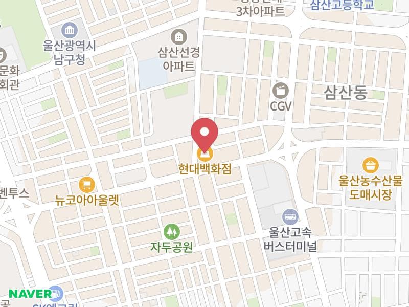울산 롯데백화점 W웨딩박람회 위치 지도